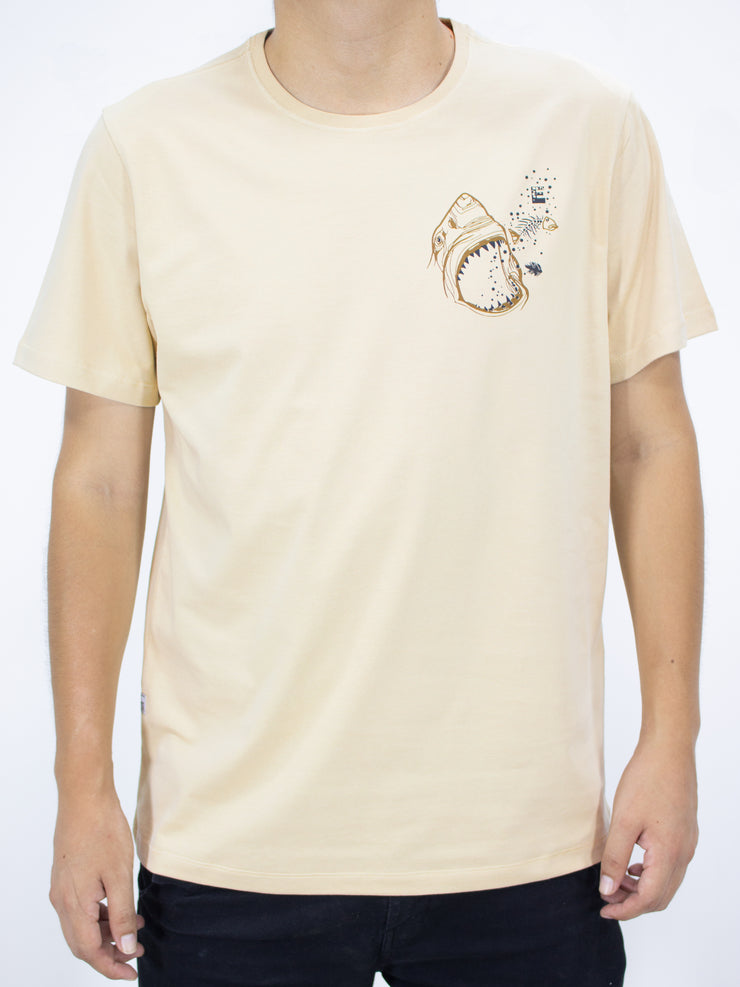 Polo ANGELUS
